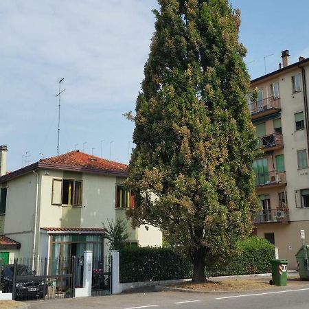 Ever Green Mestre Exterior photo